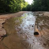Review photo of Providence Canyon State Park Campground by Paul M., July 3, 2018