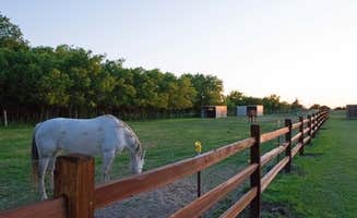 Alejandro G.'s photo of camping with a horse at Hooves N Wheels RV Park near Mineral Wells, TX