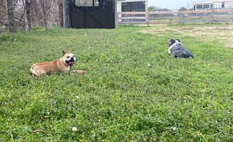 Alejandro G.'s photo of camping with pets at Hooves N Wheels RV Park near Fort Worth, TX