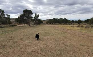 randy C.'s photo of camping with pets at Dispersed West Fork 8 Mile Road near Oak City, UT