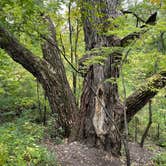 Review photo of Lac qui Parle Upper Campground — Lac qui Parle State Park by Melissa A., October 6, 2021