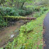 Review photo of Fort Stevens State Park Campground by Cameron H., October 6, 2021