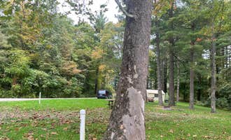 Camping near Dorr Run-Elm Trailhead: Maple Grove (Campground G) — Jesse Owens State Park, McConnelsville, Ohio