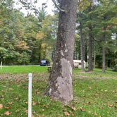 Review photo of Maple Grove (Campground G) — Jesse Owens State Park by Joaquim P., October 7, 2021