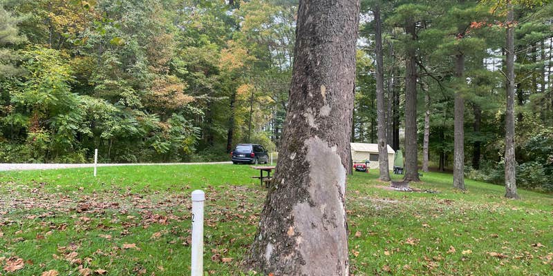 Camper submitted image from Maple Grove (Campground G) — Jesse Owens State Park