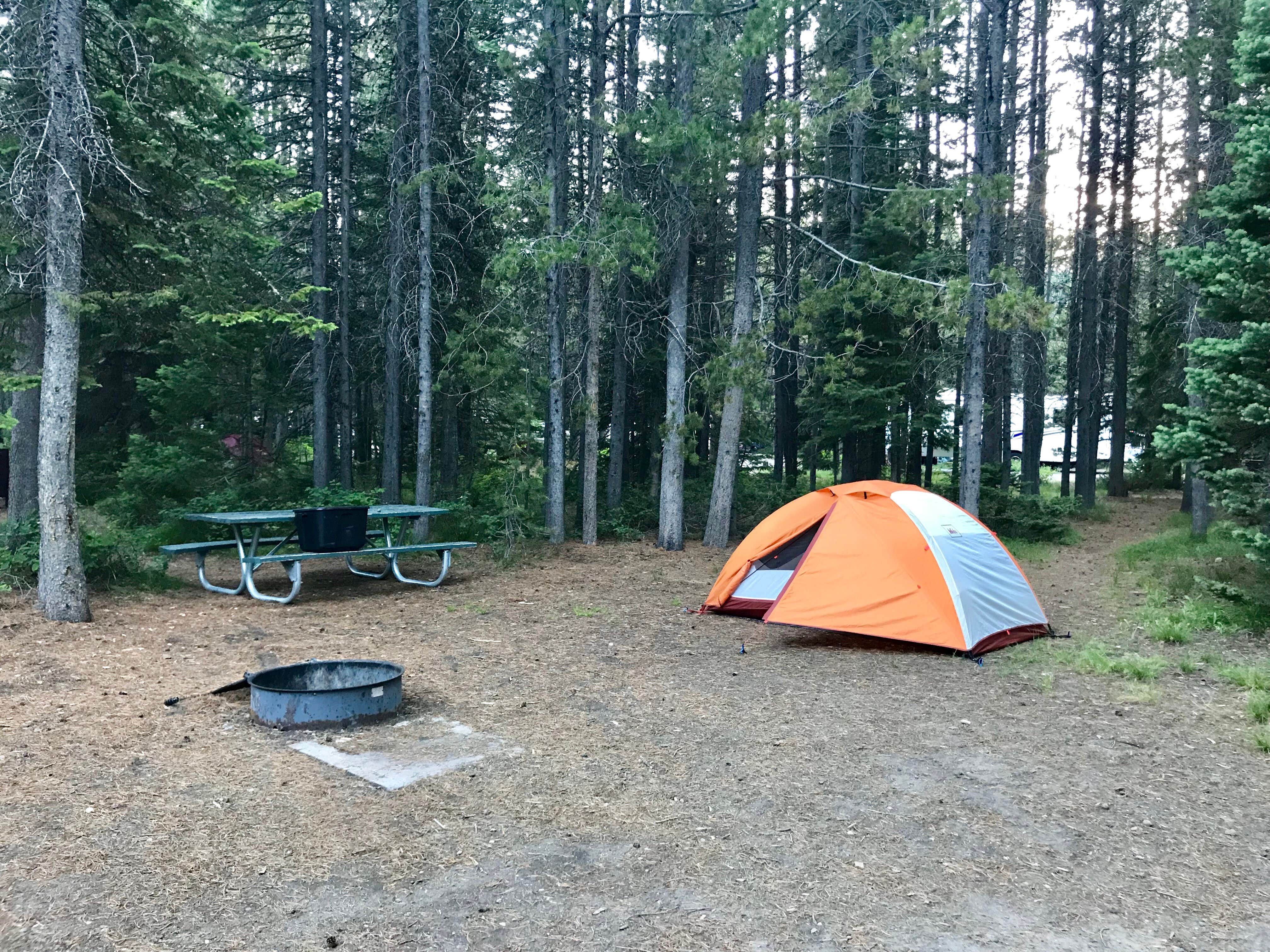Carrie C.'s photo of tent camping at Colter Bay Tent Village at Colter Bay Village — Grand Teton National Park near Tetonia, ID