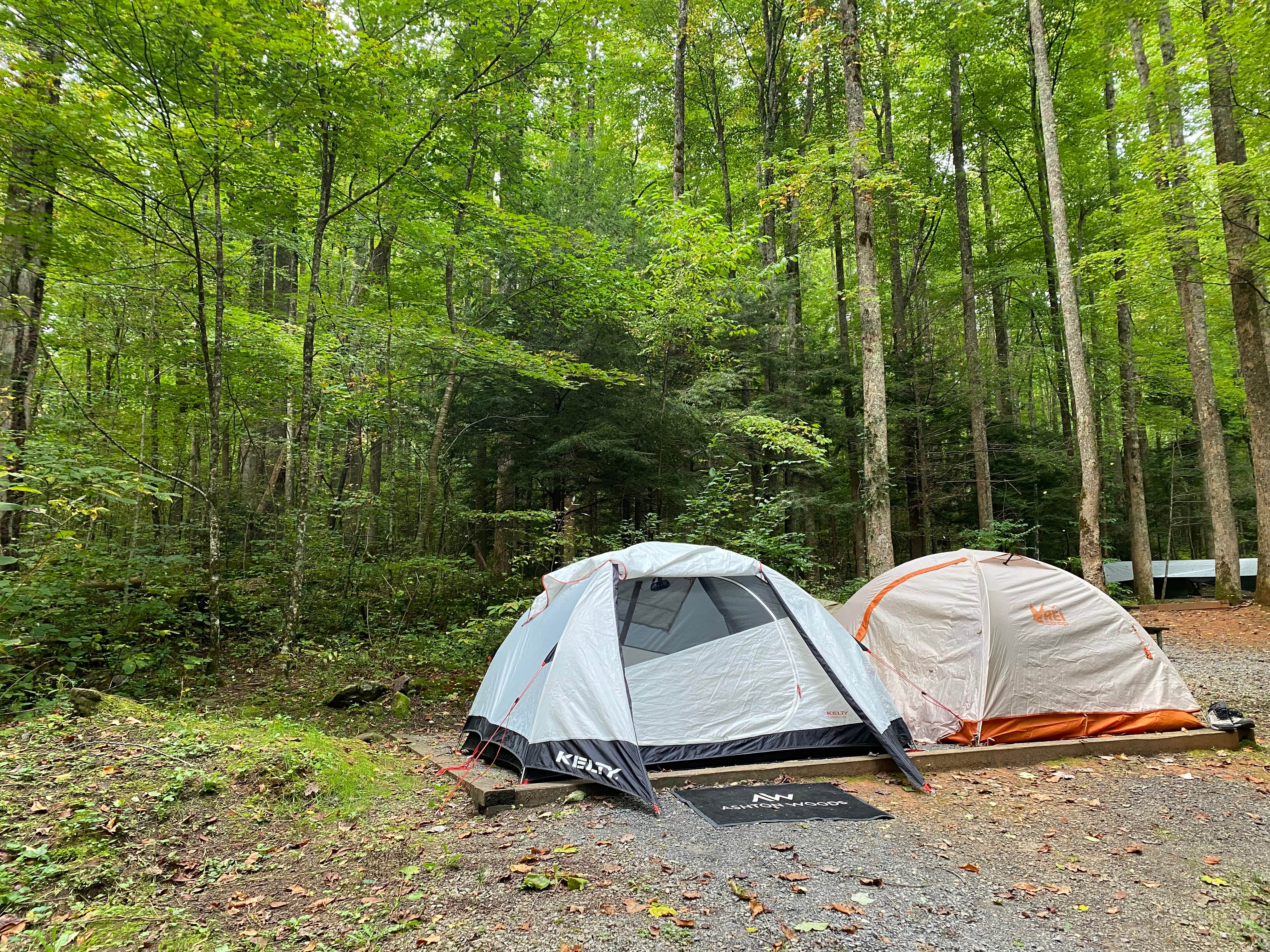 Jason H.'s photo of tent camping at Cosby Campground — Great Smoky Mountains National Park near Lake Junaluska, NC