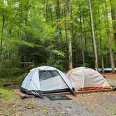 Review photo of Cosby Campground — Great Smoky Mountains National Park by Jason H., October 7, 2021