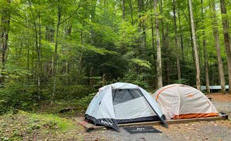 Jason H.'s photo of tent camping at Cosby Campground — Great Smoky Mountains National Park near Kodak, TN