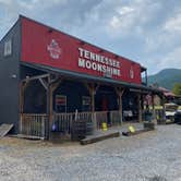 Review photo of Cosby Campground — Great Smoky Mountains National Park by Jason H., October 7, 2021