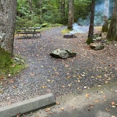 Review photo of Cosby Campground — Great Smoky Mountains National Park by Jason H., October 7, 2021