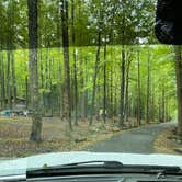 Review photo of Cosby Campground — Great Smoky Mountains National Park by Jason H., October 7, 2021