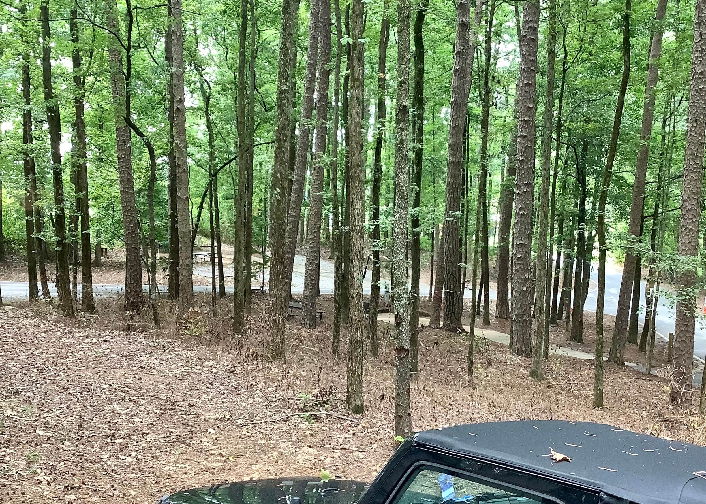 Dobbins Lakeside Campground Camping The Dyrt