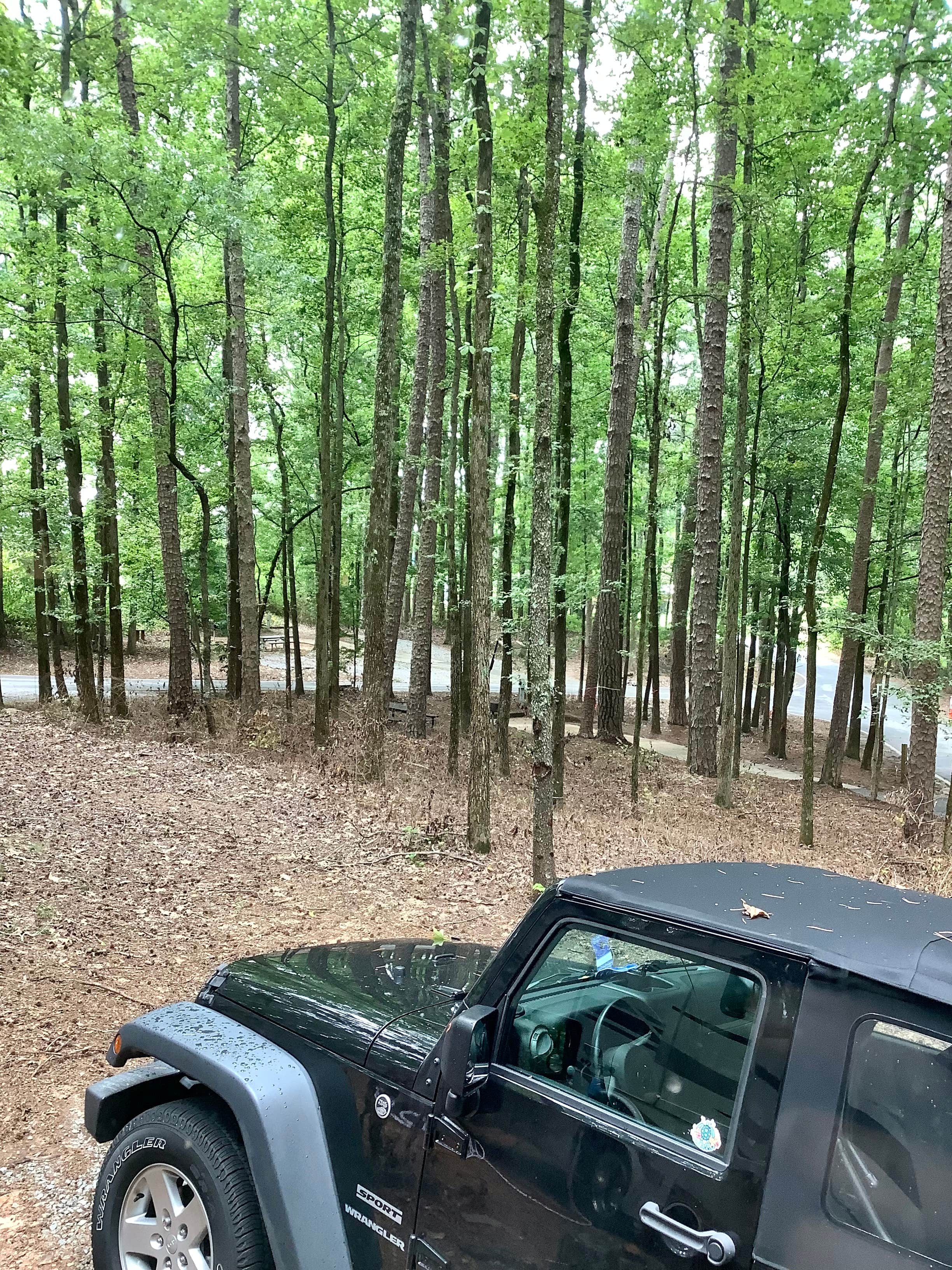 Escape To Serenity: Dobbins Lakeside Campground, Georgia