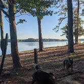 Review photo of Carolina Beach State Park Campground by M. B., October 7, 2021