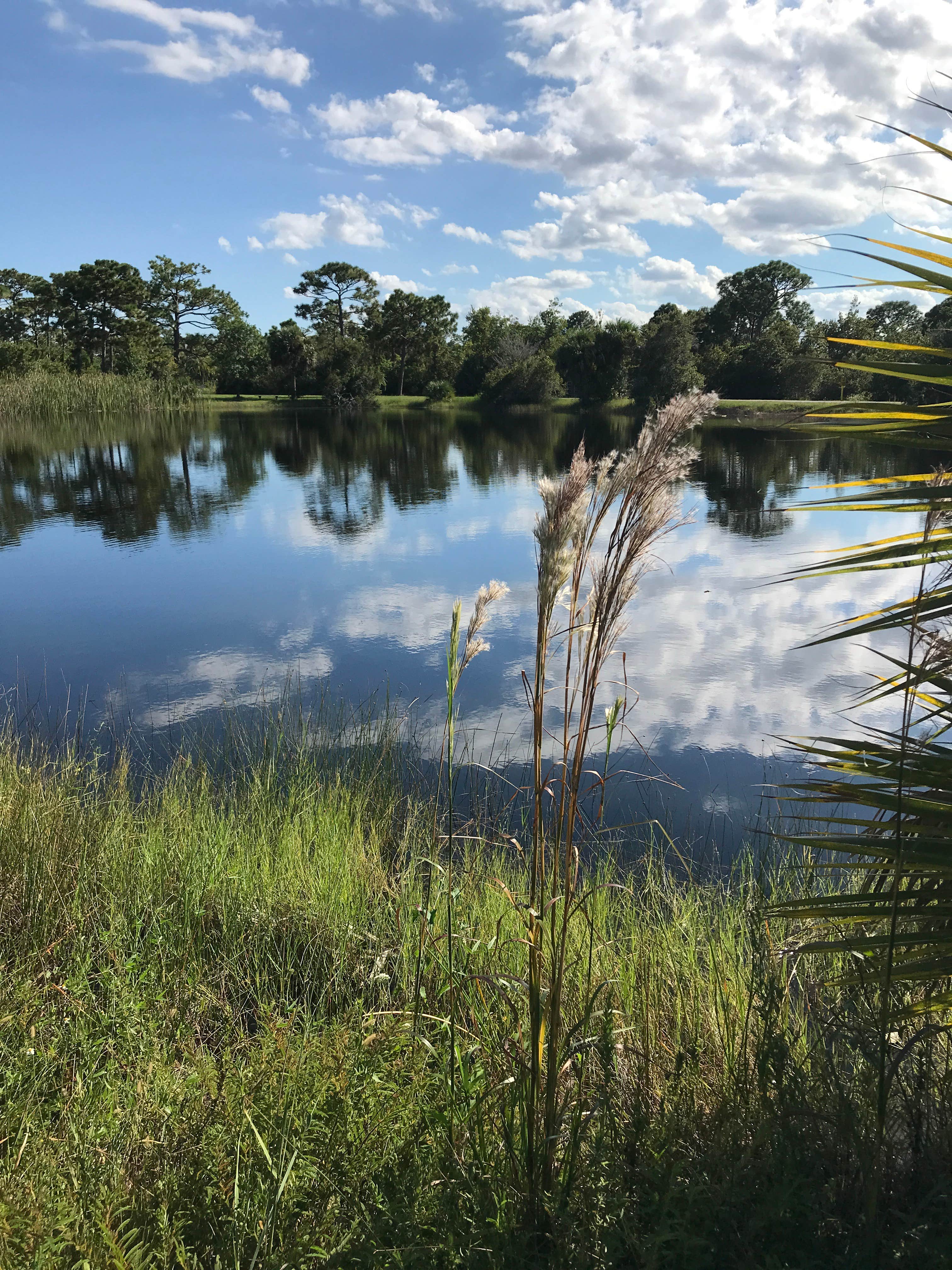 Camper-submitted photo at Wickham Park Campground near Cape Canaveral, FL