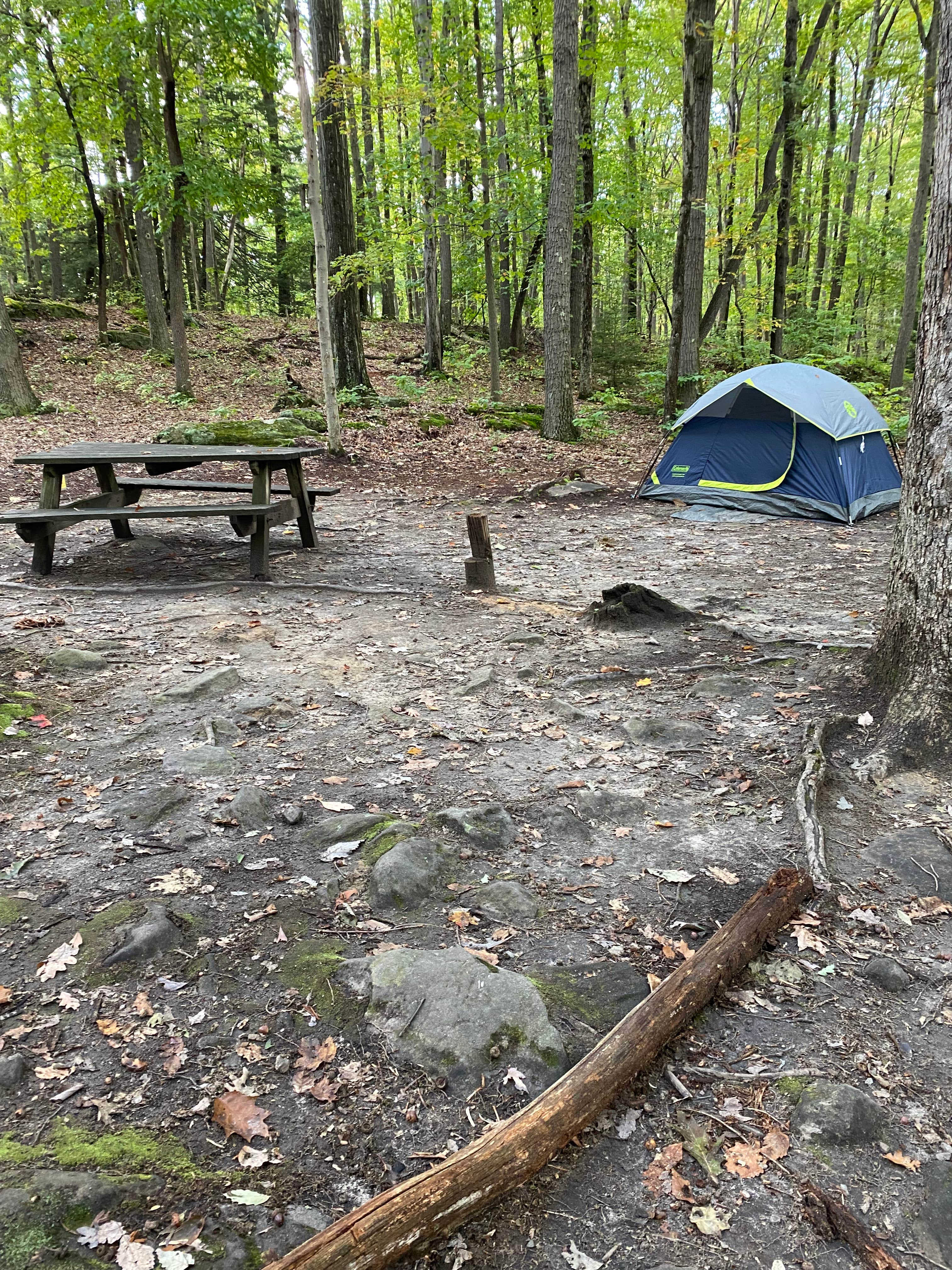 Kat's photo at Coopers Rock State Forest near Fairmont, WV