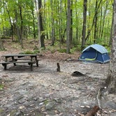 Review photo of Coopers Rock State Forest by Kat , October 7, 2021