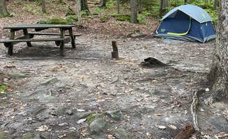 Kat's photo at Coopers Rock State Forest near Greensboro, PA