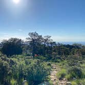 Review photo of Guadalupe Peak Wilderness Campground — Guadalupe Mountains National Park by Peter , October 7, 2021