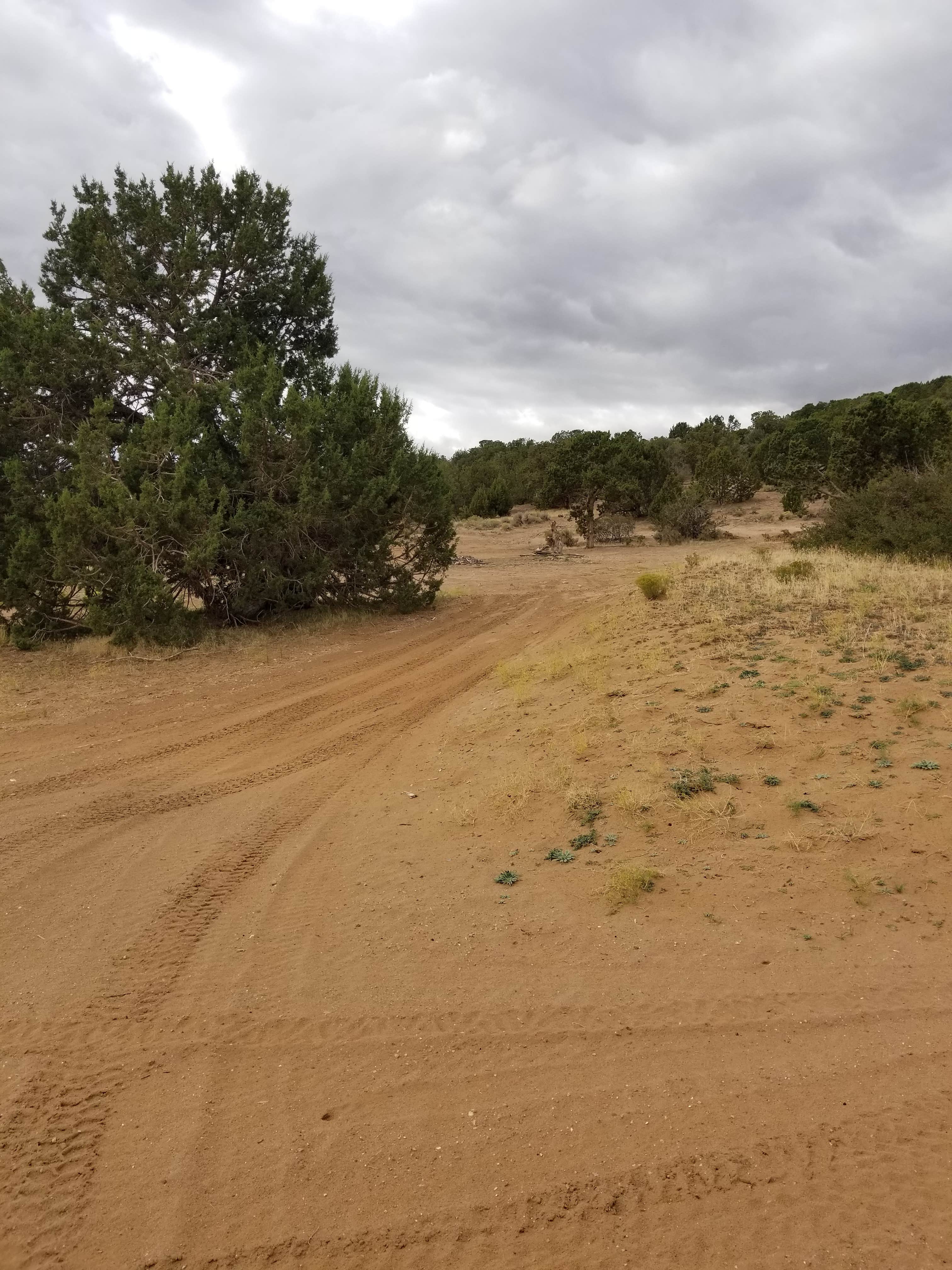 Camper-submitted photo at Dispersed Sandy Lot near Delta, UT