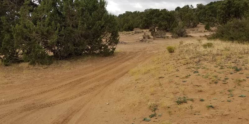 Camper submitted image from Dispersed Sandy Lot