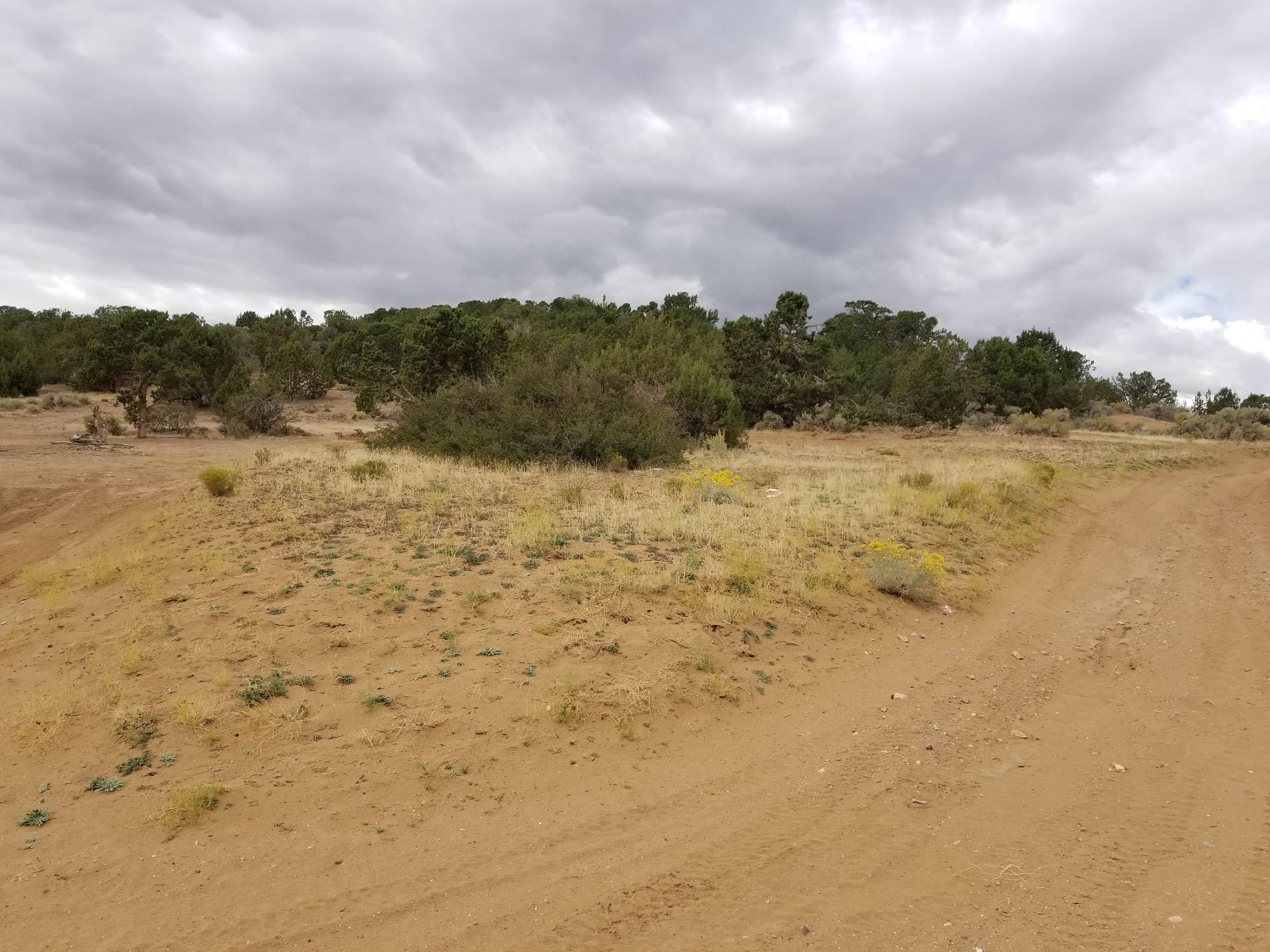 Camper-submitted photo at Dispersed Sandy Lot near Delta, UT