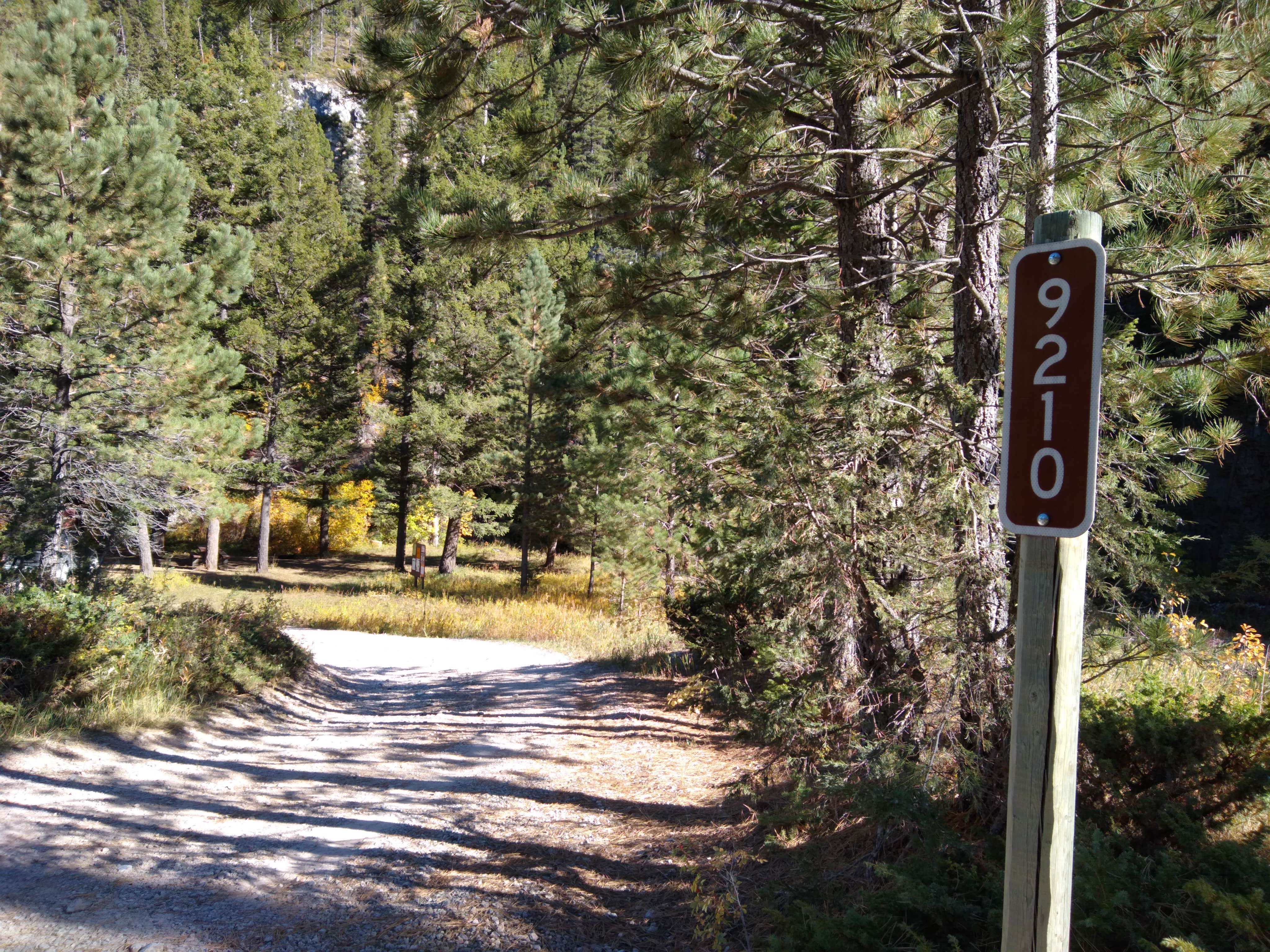 Camping near Timber Creek Dispersed Campground: Dispersed site 9210, Neihart, Montana