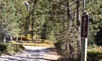 Camping near Crystal Lake Campground: Dispersed site 9210, Neihart, Montana