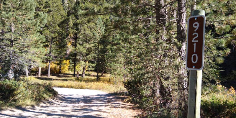 Camper submitted image from Dispersed site 9210