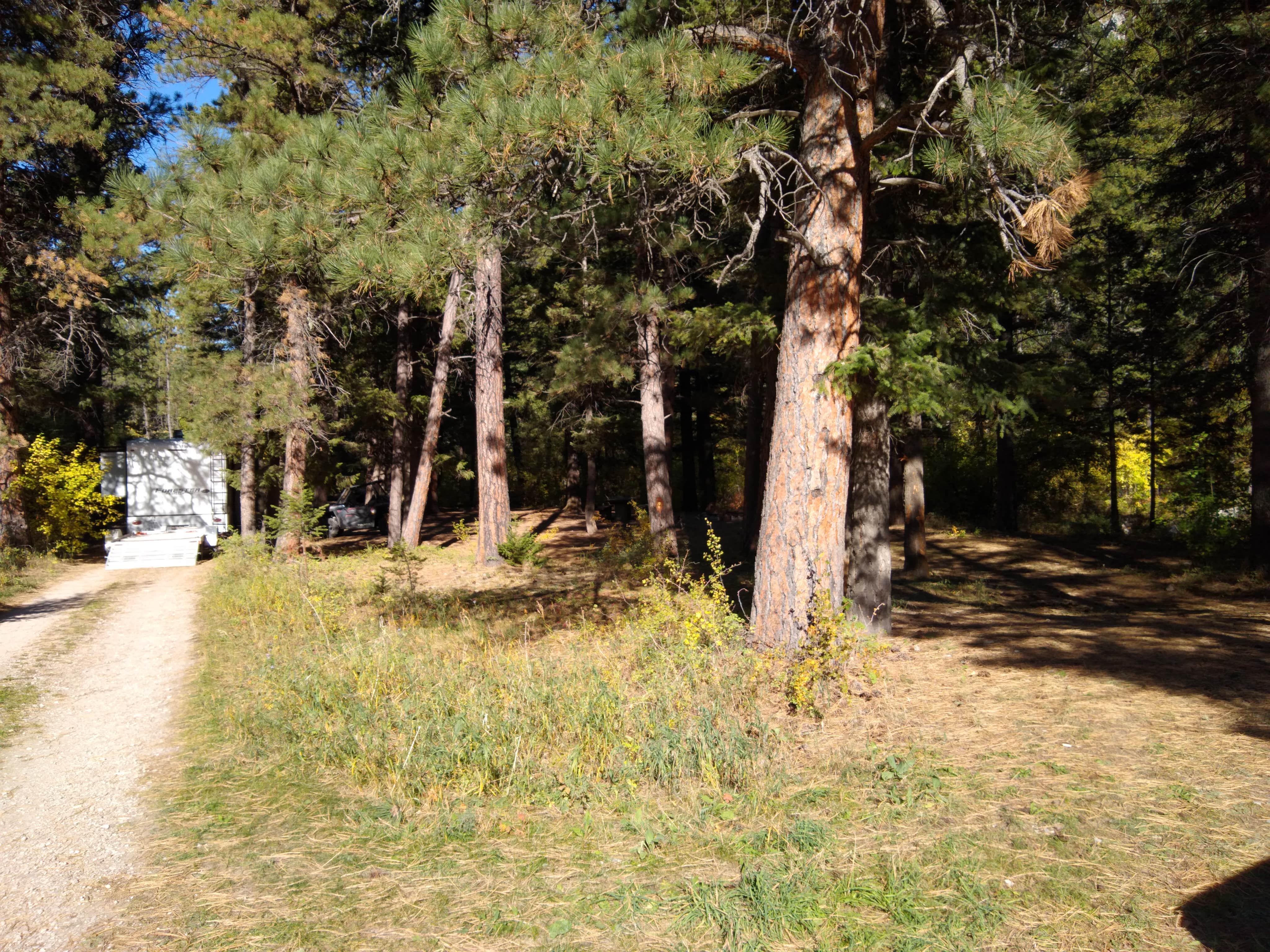 Camper-submitted photo at Dispersed site 9210 near Stanford, MT