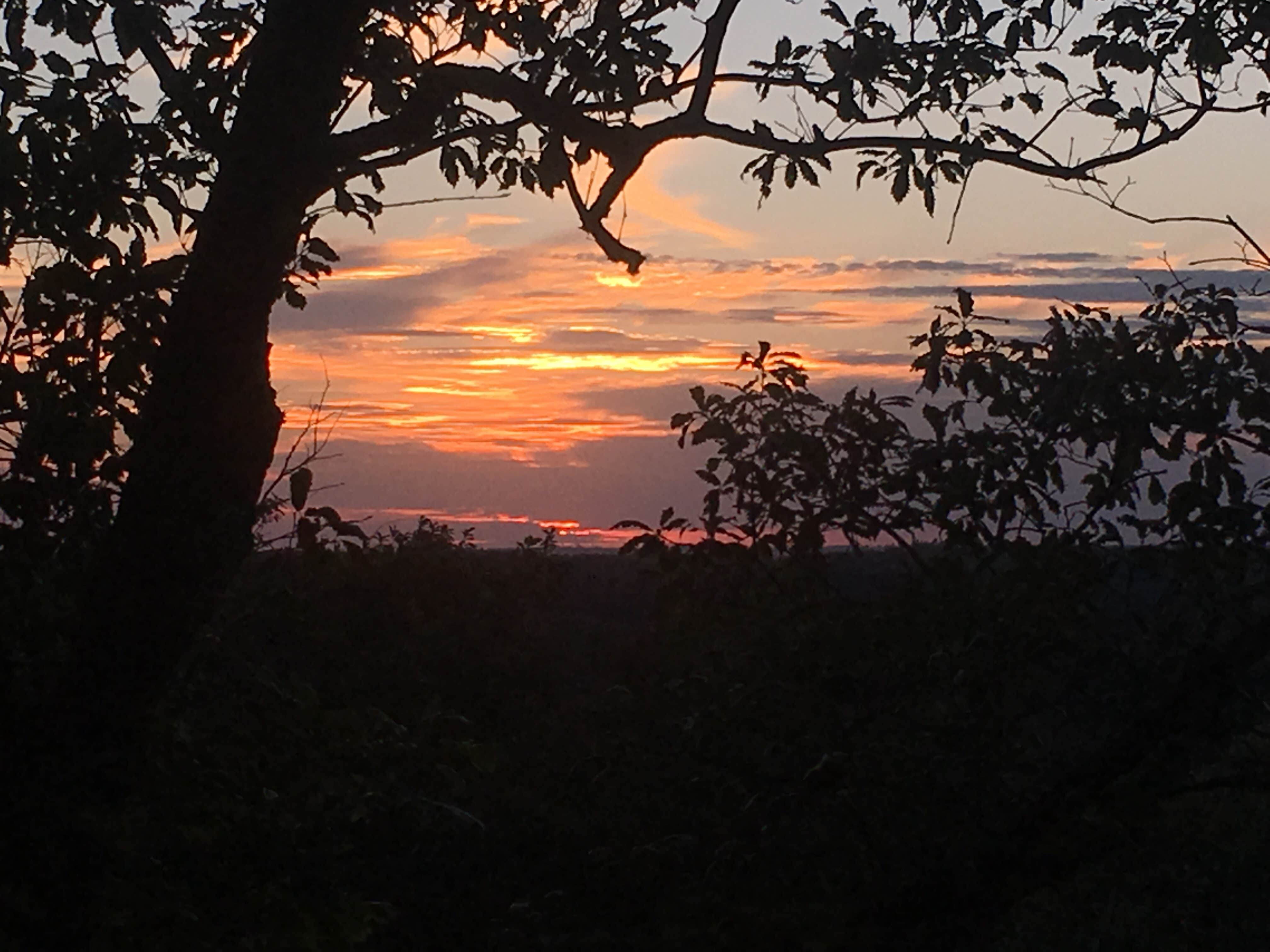 Camper-submitted photo at Hackberry Hollow Campground — Indian Cave State Park near Du Bois, NE