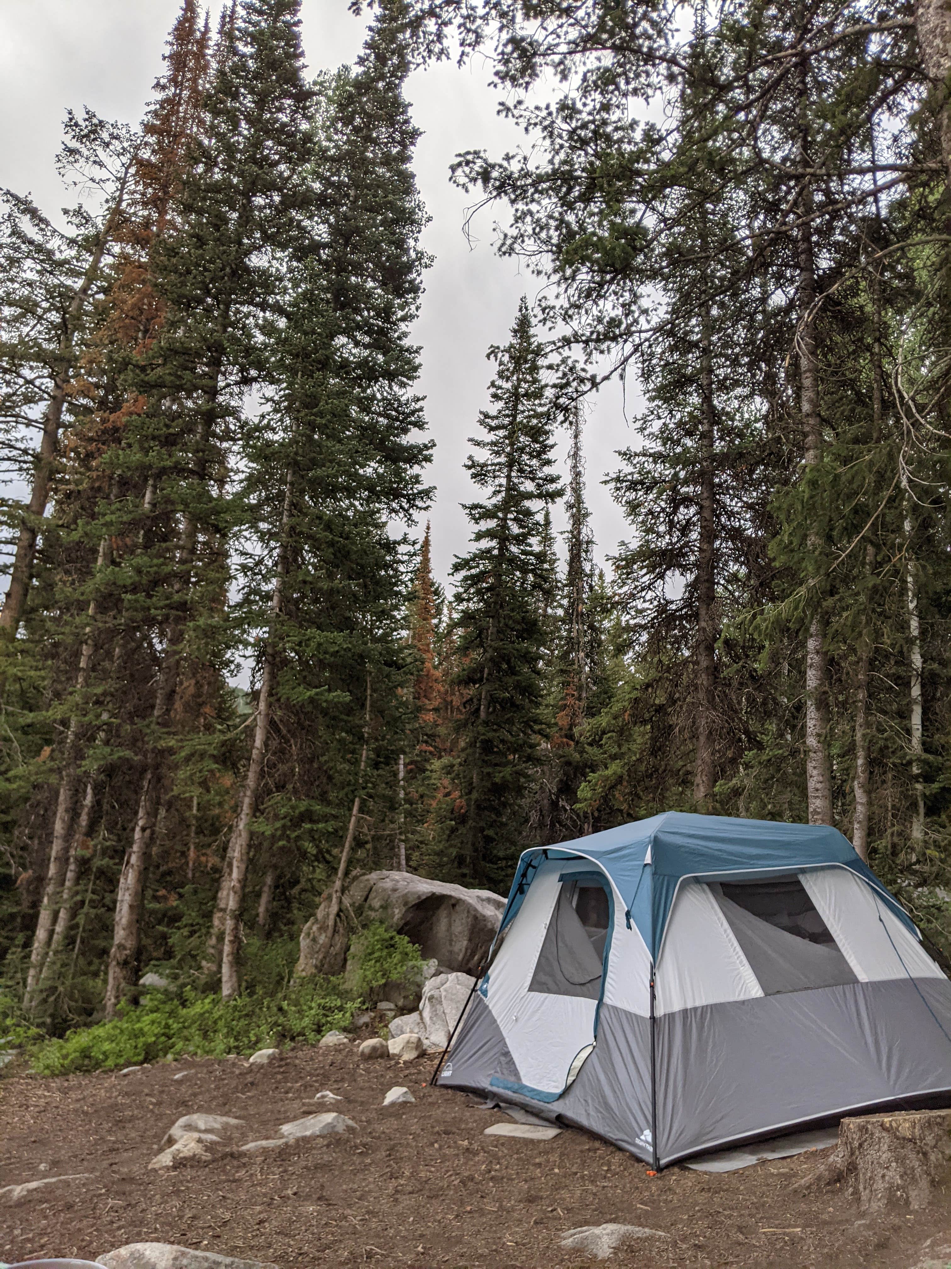 Heather K.'s photo at Redman Campground near Murray, UT
