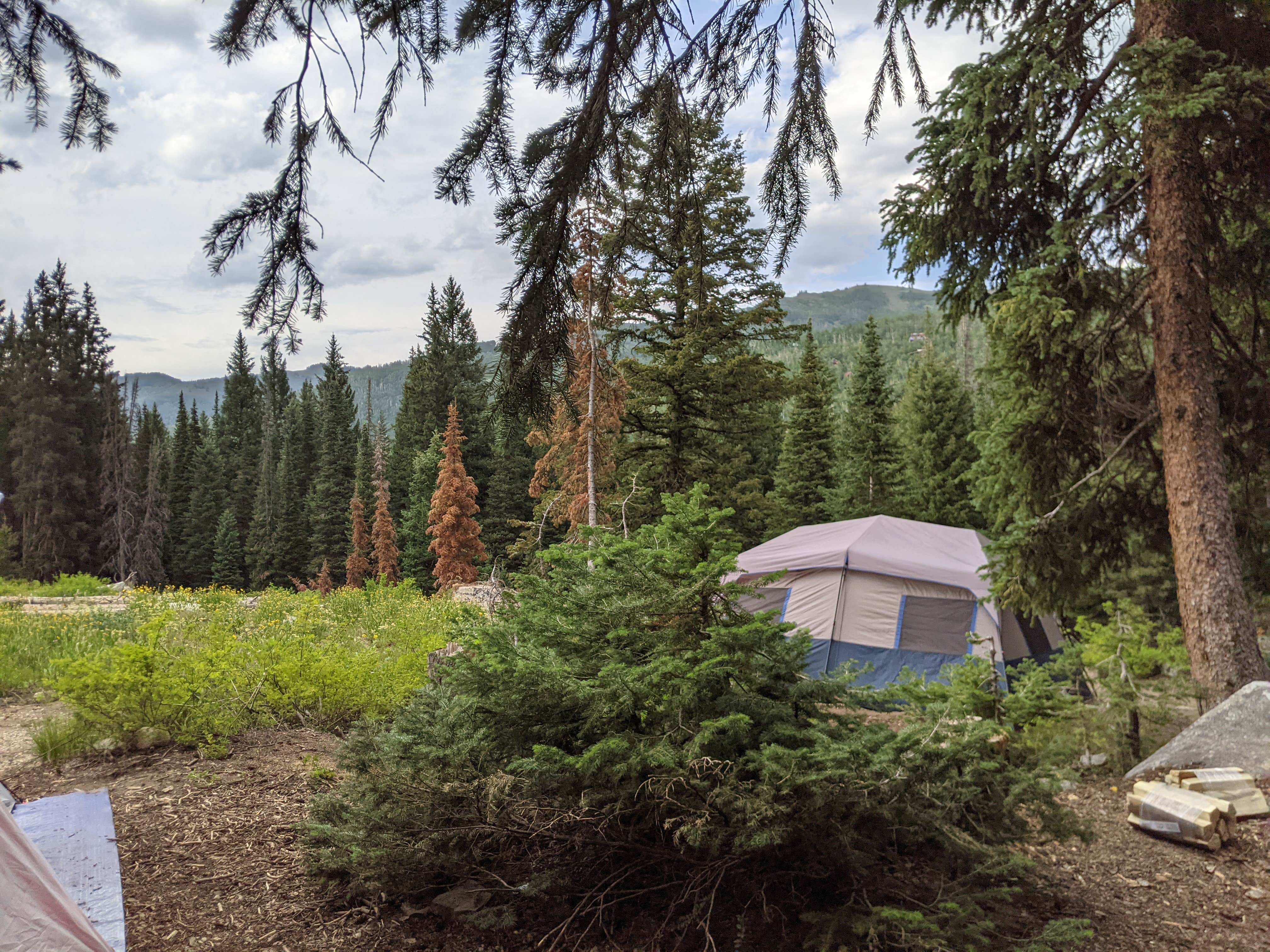 Heather K.'s photo at Redman Campground near Midvale, UT