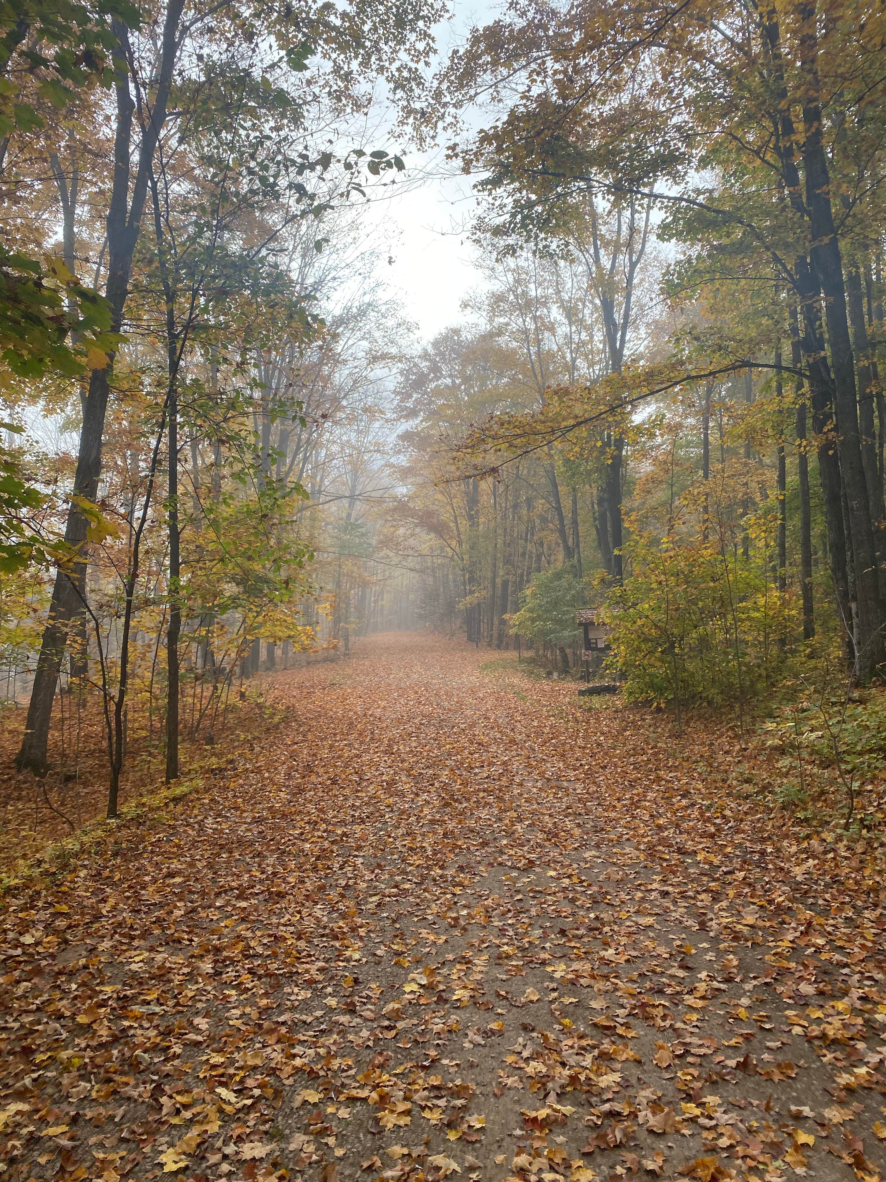 Camping near Windsor Dam: Stevens Lake Campground, Long Lake, Wisconsin