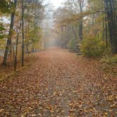 Review photo of Stevens Lake Campground by Max S., October 7, 2021