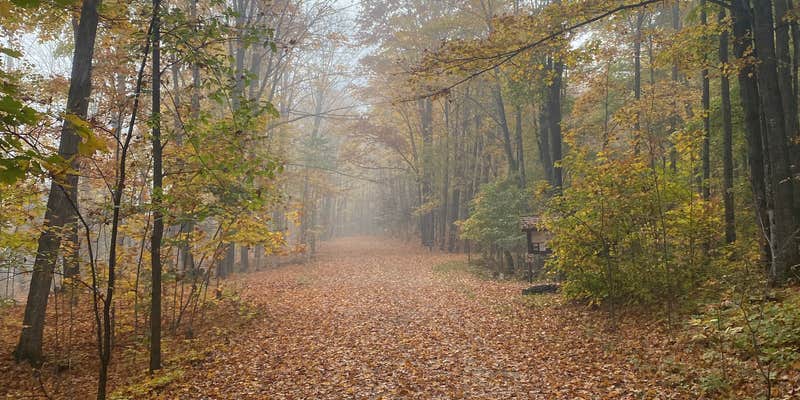 Camper submitted image from Stevens Lake Campground