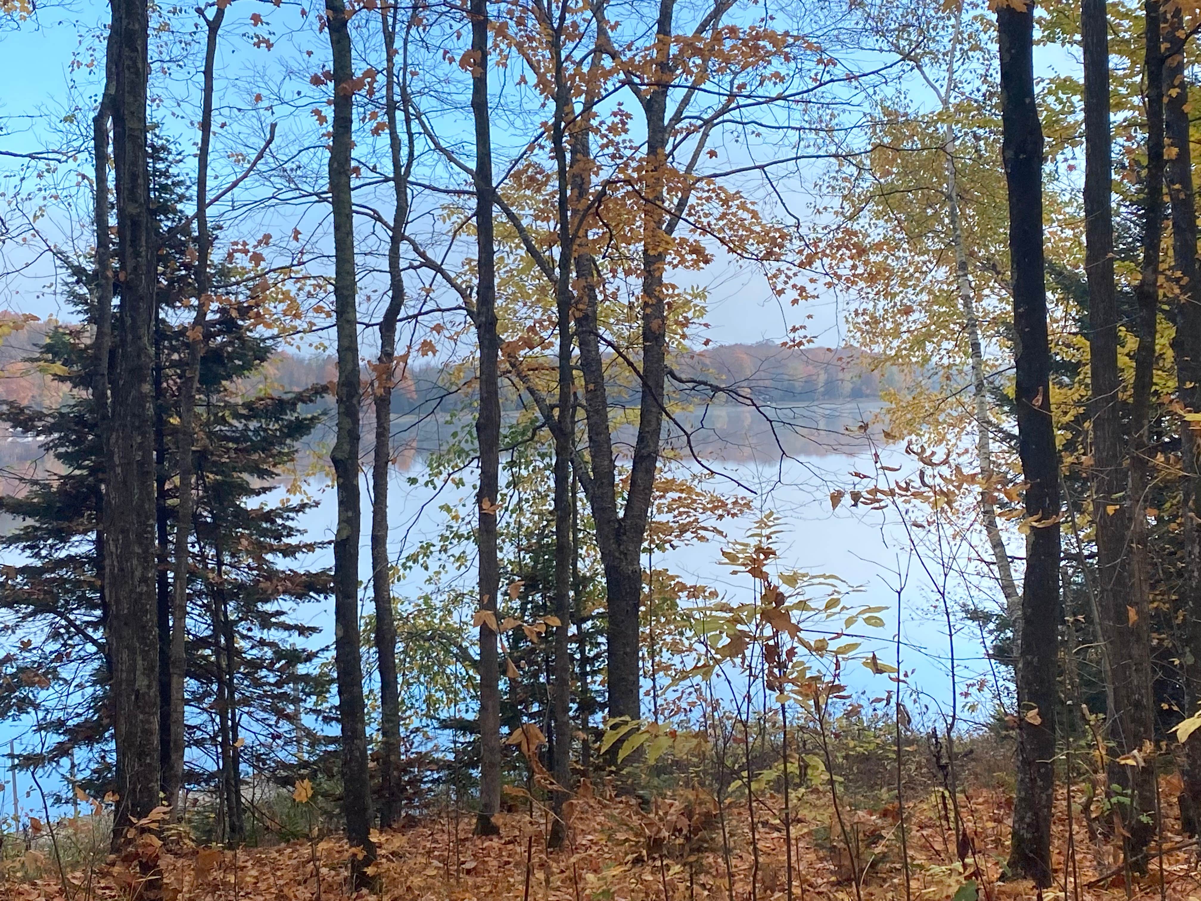 Camper-submitted photo at Stevens Lake Campground near Alpha, MI