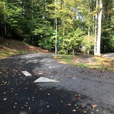 Review photo of Salthouse Branch Campground by Lawrence P., October 7, 2021
