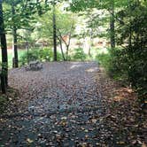 Review photo of Salthouse Branch Campground by Lawrence P., October 7, 2021