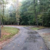 Review photo of Salthouse Branch Campground by Lawrence P., October 7, 2021