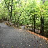 Review photo of Salthouse Branch Campground by Lawrence P., October 7, 2021