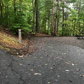 Review photo of Salthouse Branch Campground by Lawrence P., October 7, 2021