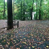 Review photo of Salthouse Branch Campground by Lawrence P., October 7, 2021