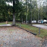 Review photo of Salthouse Branch Campground by Lawrence P., October 7, 2021