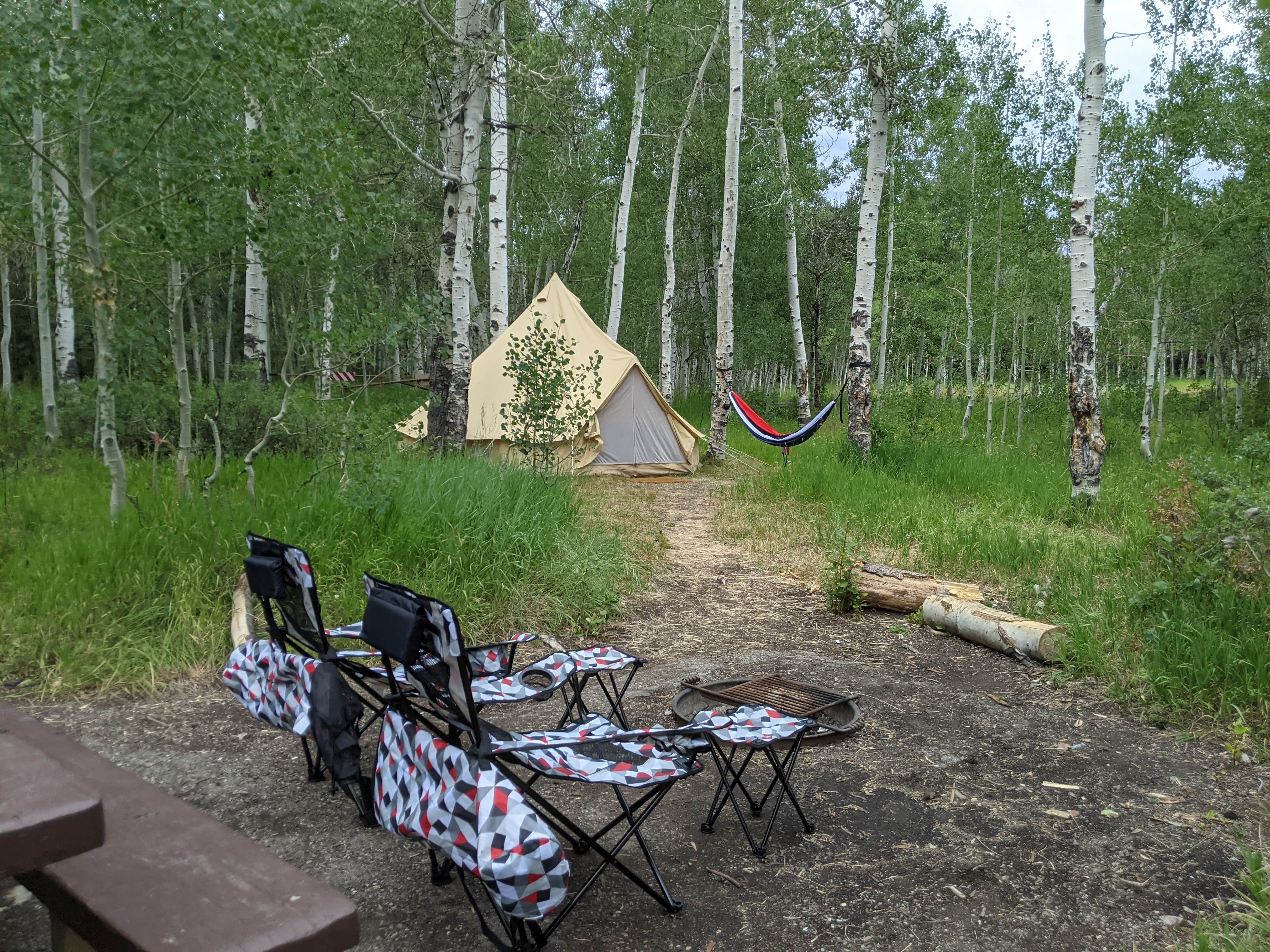 Camper submitted image from Sunrise Campground - 4
