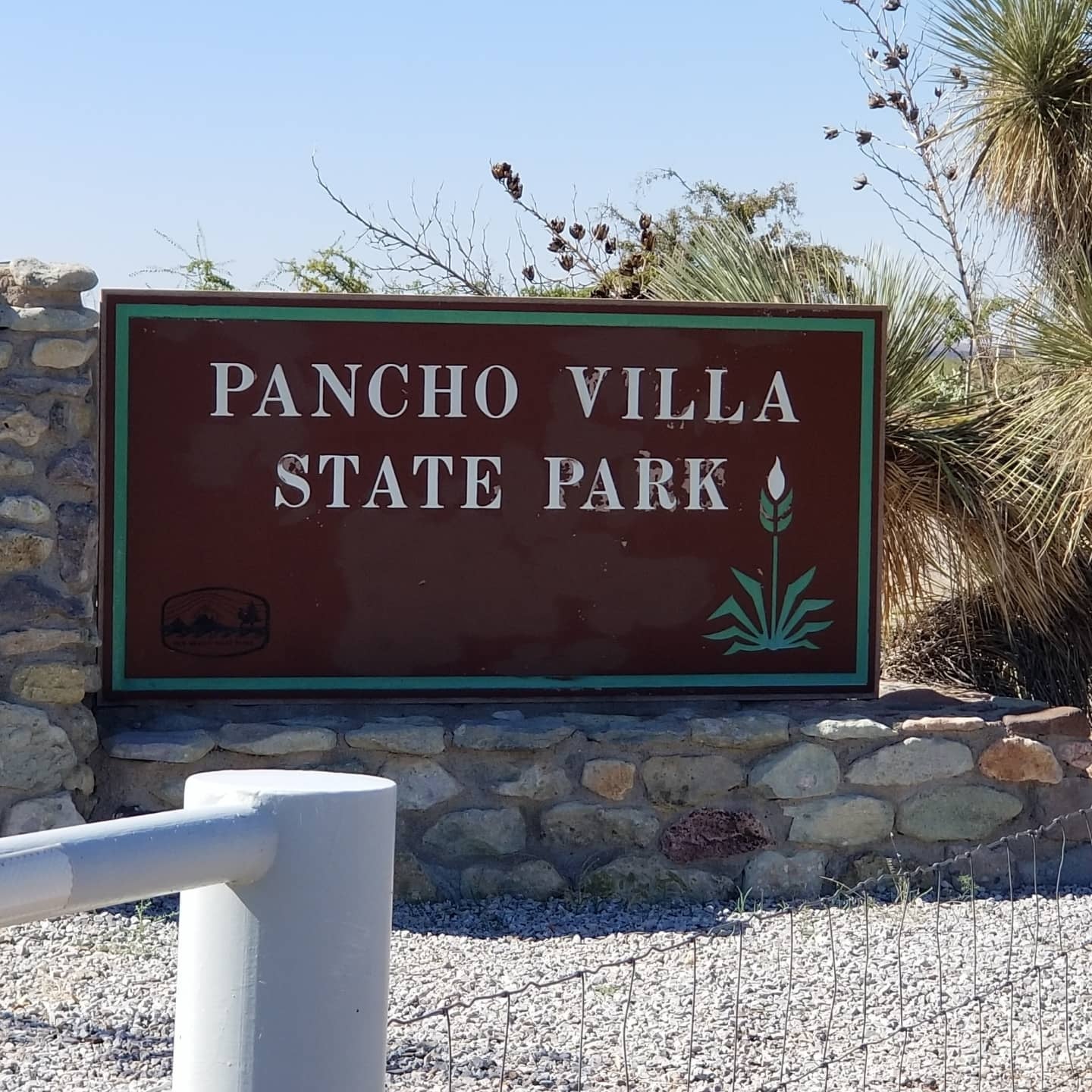 Camper submitted image from Pancho Villa State Park Campground - 3