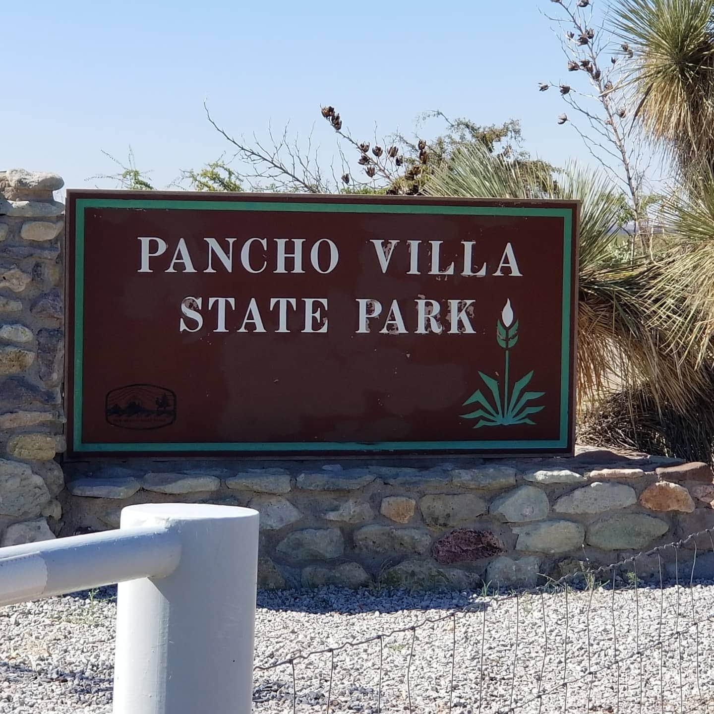 Camper submitted image from Pancho Villa State Park - 3