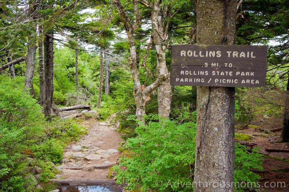 Camper submitted image from Rollins Pond Campground - 3