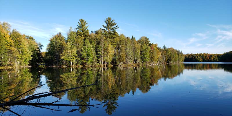 Camper submitted image from Squaw Lake State Forest Campground